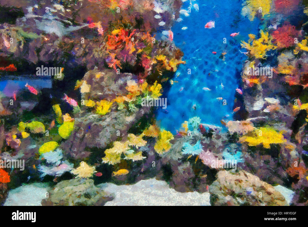 Aquarium Océanique de Shanghai, Chine Banque D'Images