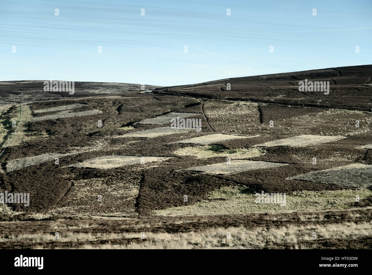 Modèle d'une Muirburn grouse moor dans le Lammermuir Hills. Sporting estates parcelles de brûler la population de tétras, Heather peuvent manger les nouvelles pousses. Banque D'Images