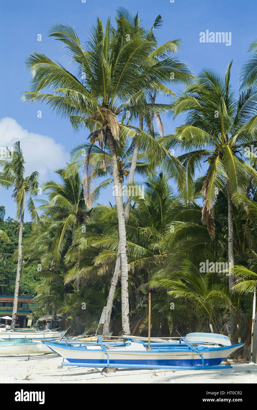 Palmenstrand, Boracay, Philippinen - palm beach Banque D'Images