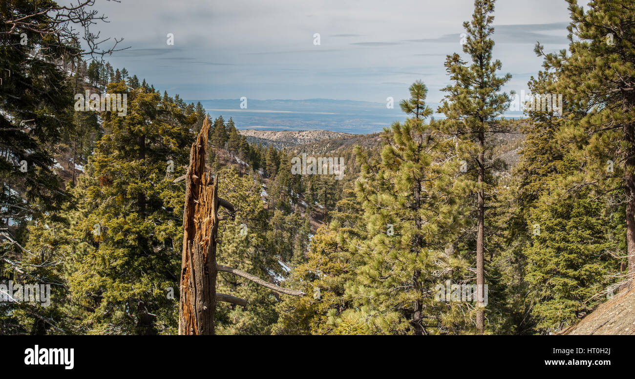 Vue panoramique de l'Angeles National Forest à la Californie vers le désert. Banque D'Images
