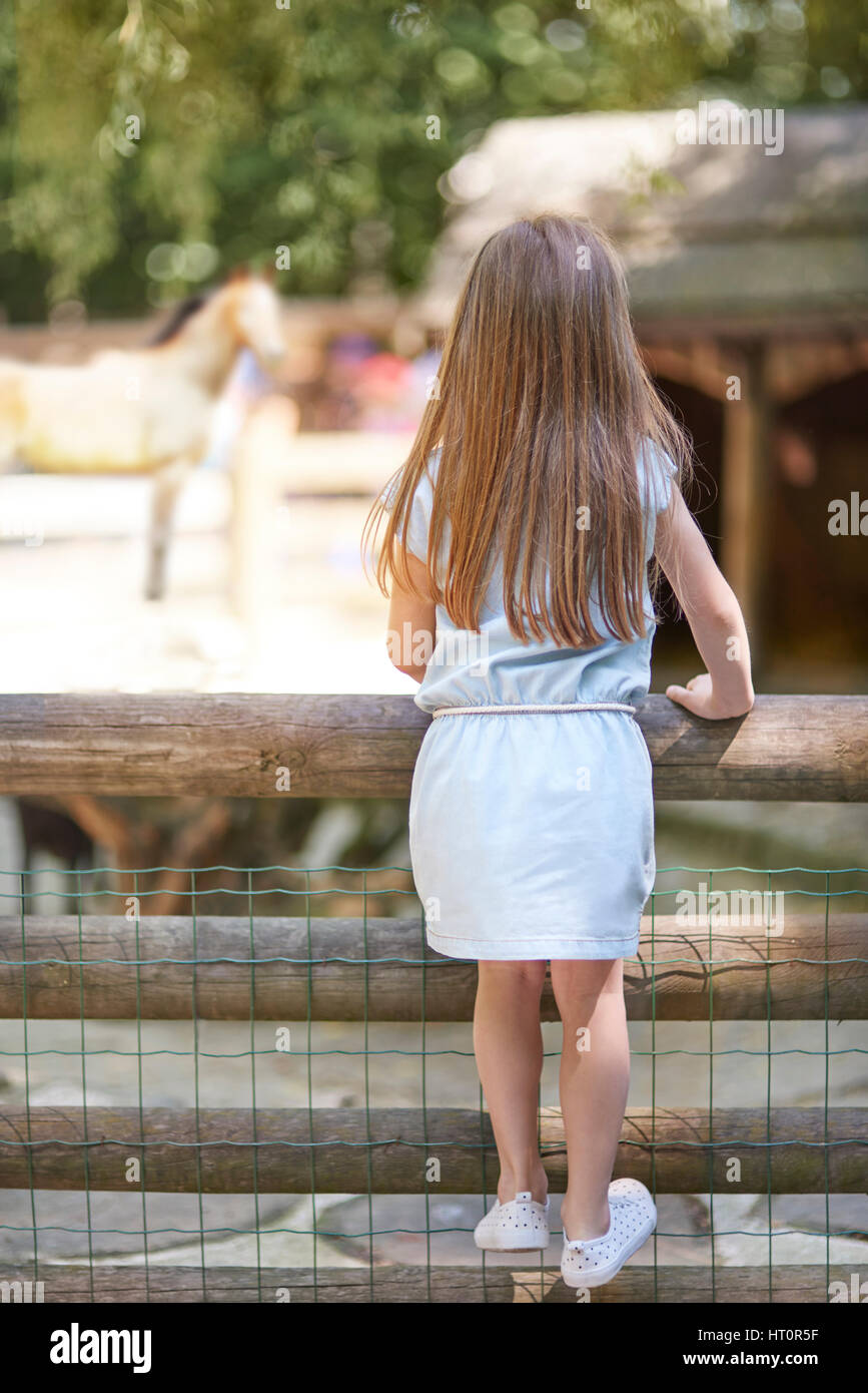 Petite fille à la recherche sur les animaux au zoo Banque D'Images