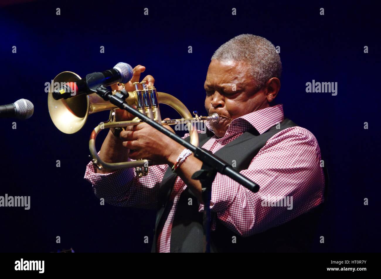 Hugh Masekela, Love Supreme Jazz Festival, Glynde Place, East Sussex, 2015. Artiste : Brian O'Connor. Banque D'Images
