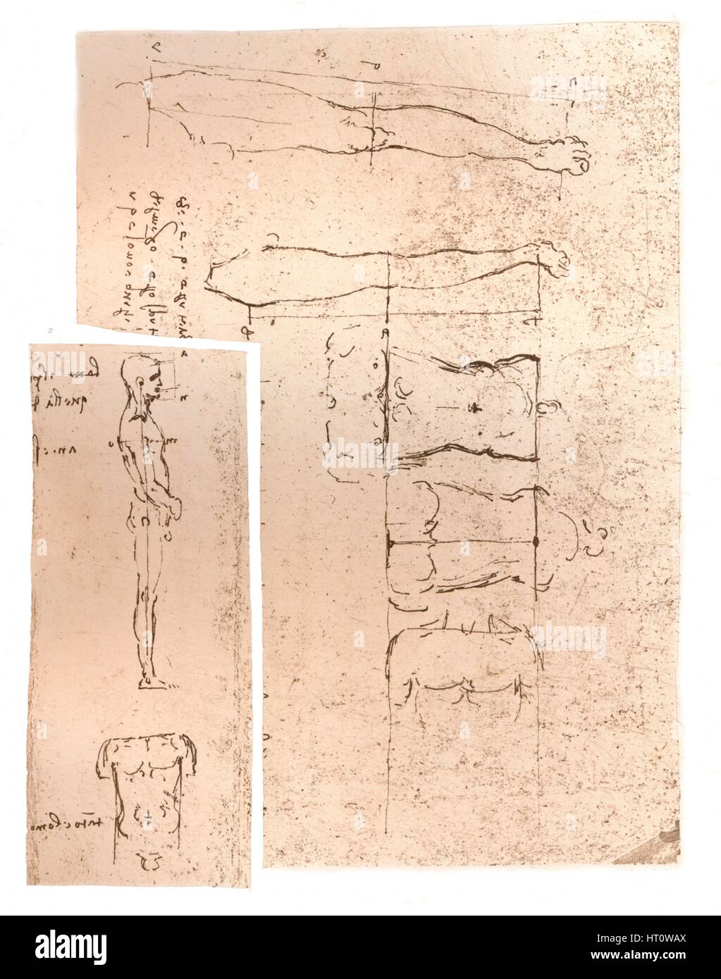 Deux dessins illustrant la théorie des proportions de la figure humaine, c1472-c1519 (1883). Artiste : Leonardo da Vinci. Banque D'Images