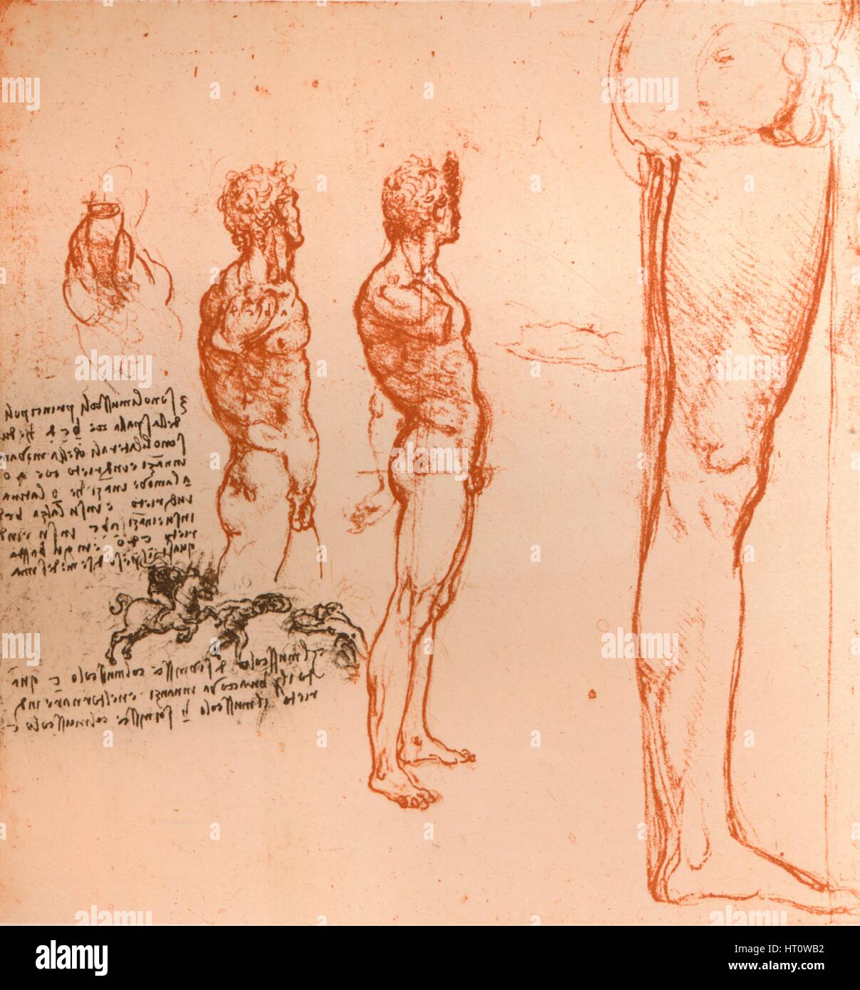 Des dessins indiquant les mouvements de la figure humaine et la lutte contre les guerriers, c1472-c1519 (1883). Artiste : Leonardo da Vinci. Banque D'Images