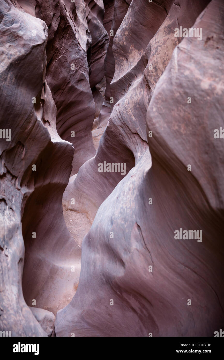 Une fente étroite extrêmement serré de la section canyon peu Wildhorse Caynon du San Rafael Swell dans le sud de l'Utah. Banque D'Images