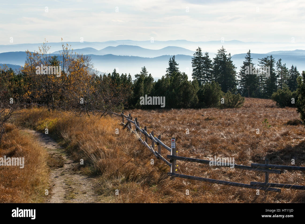Vue sur les montagnes de la Forêt-Noire du Schliffkopf Banque D'Images