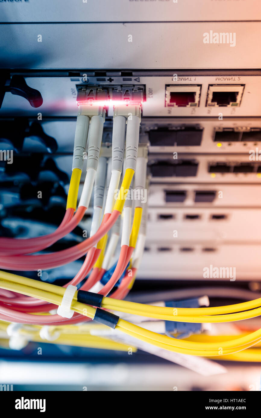 Connectez un câble à fibres optiques pour montage sur rack de commutation Ethernet Banque D'Images