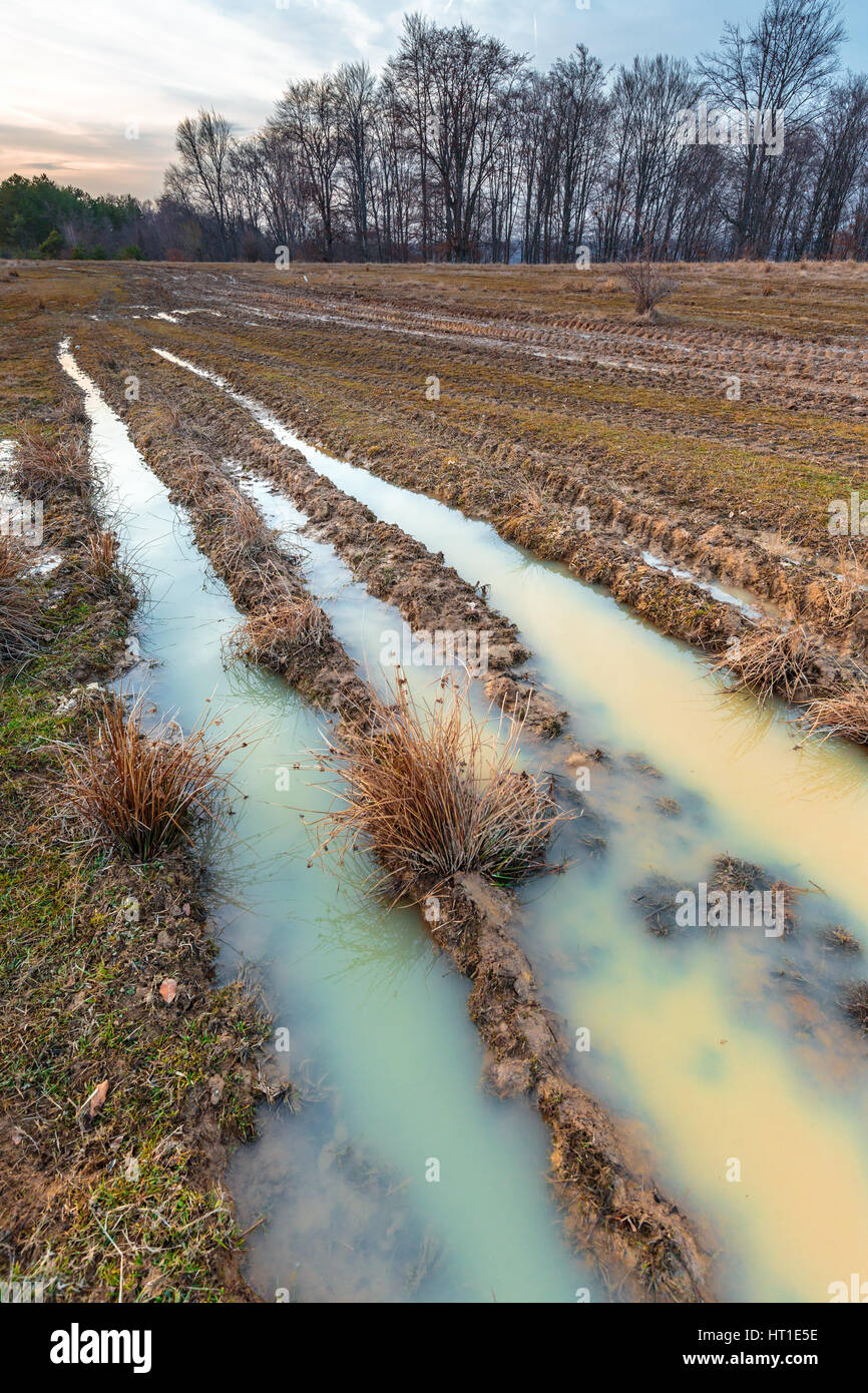 Les sols agricoles avec traces de trempé après la pluie au printemps Banque D'Images