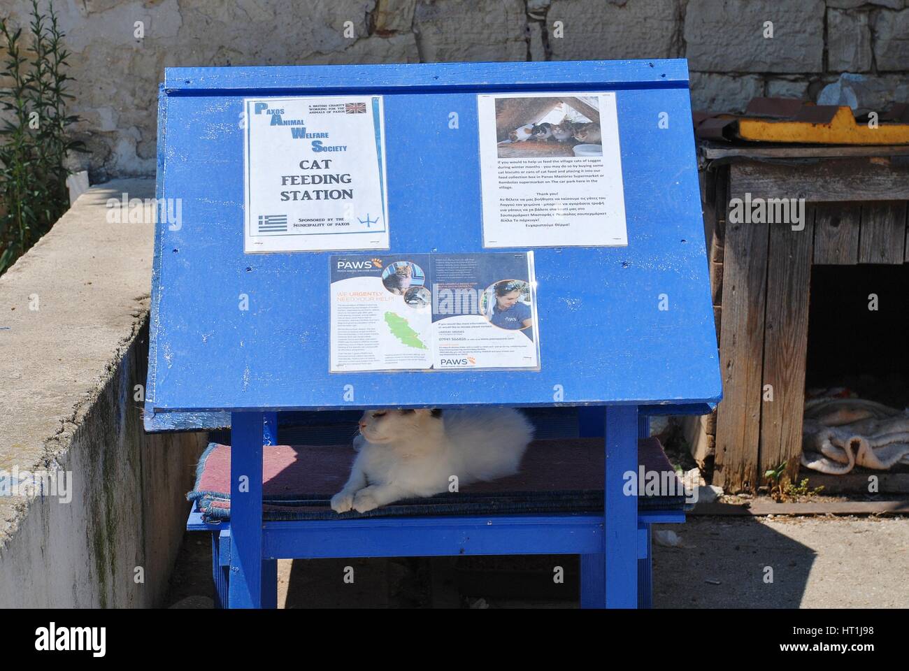 Station d'alimentation d'un chat à Loggos sur l'île grecque de Paxos. L'alimentation est géré par PAWS (Paxos le bien-être des animaux de la société). Banque D'Images