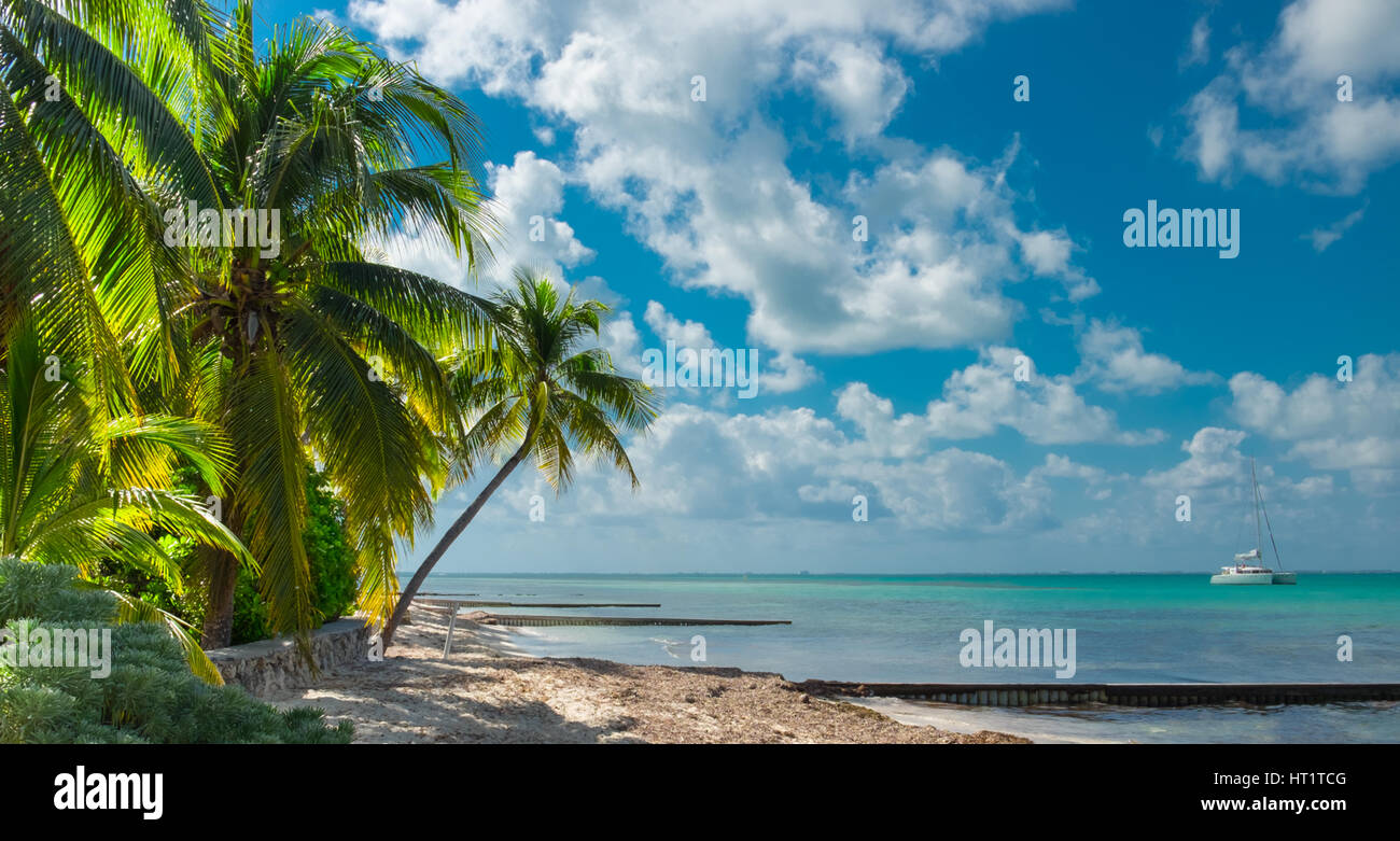 L'une des plages du Rum Point avec une voile sur la mer des Caraïbes, Grand Cayman, Cayman Islands Banque D'Images