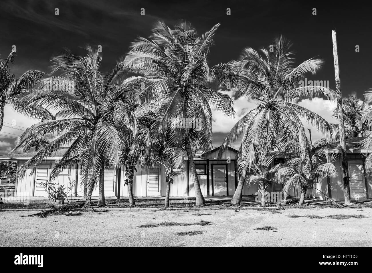 Grand Cayman, Cayman Islands, immeuble vacant dans le style des Caraïbes, à l'ombre des palmiers Banque D'Images