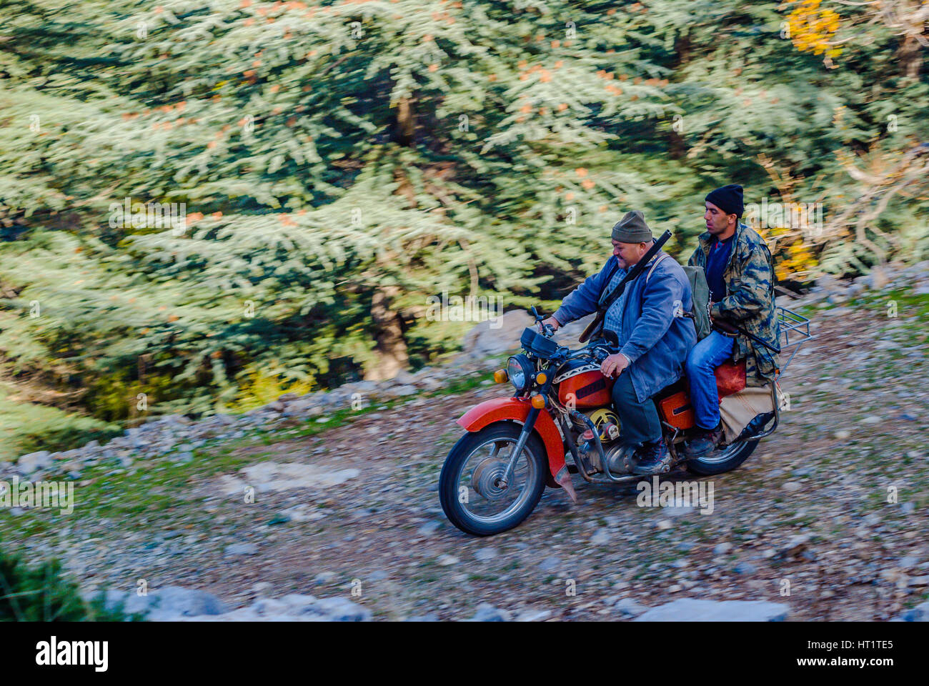 Sur les chasseurs de moto dans la recherche de chemin forestier Banque D'Images
