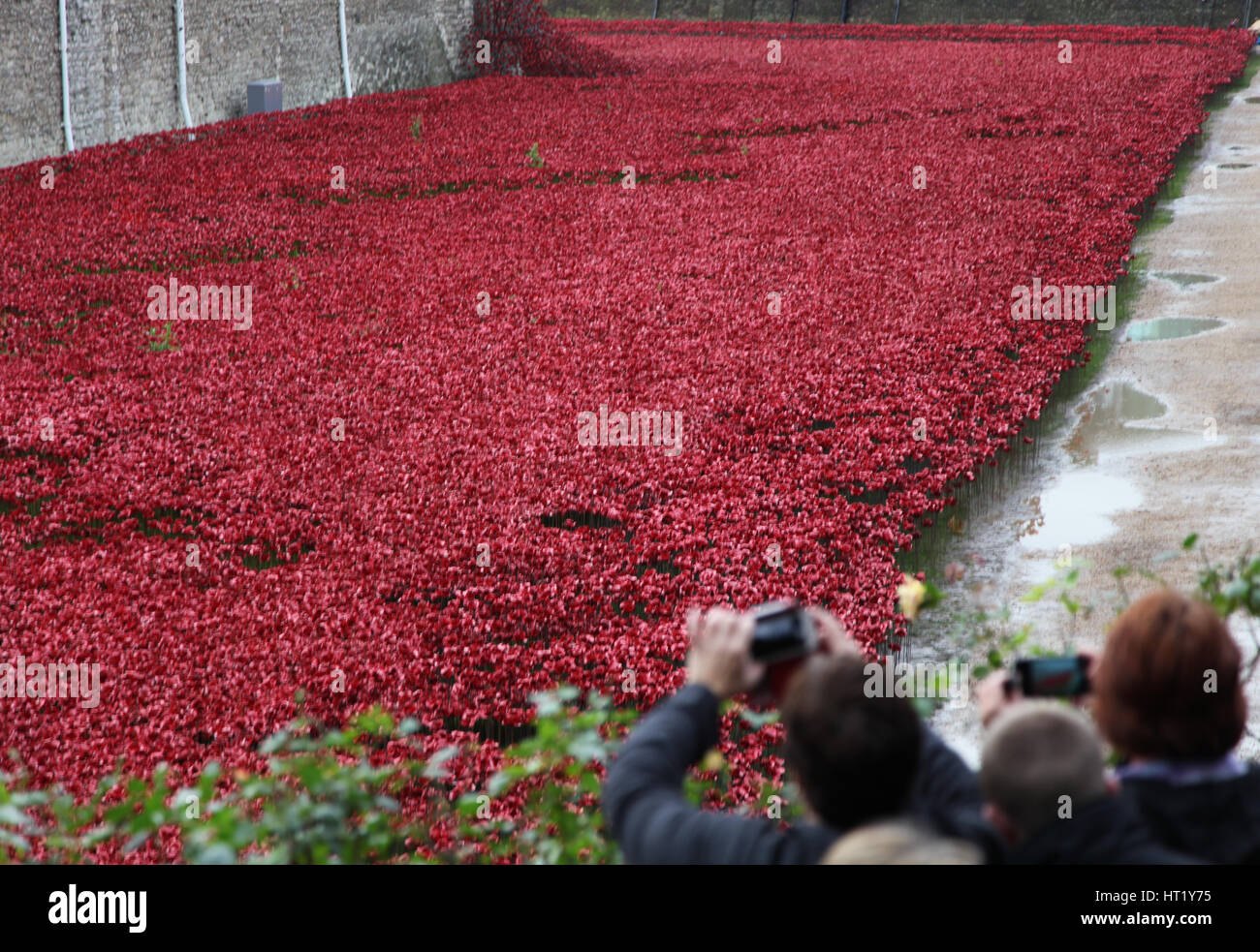 'Blood a balayé les terres et les mers de Red', la Tour de Londres, 2014. Artiste : Sheldon Marshall Banque D'Images