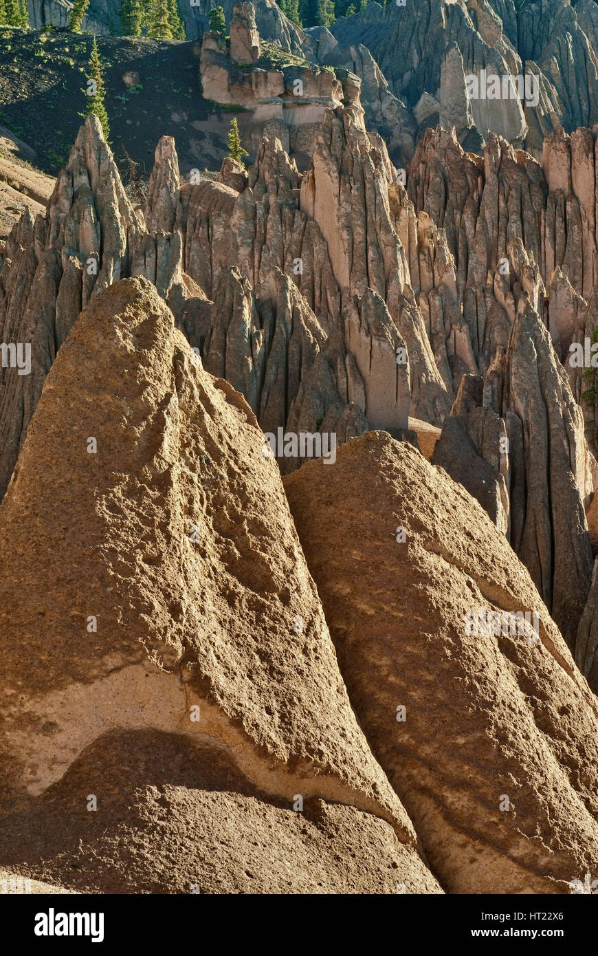 Les hoodoos de tuf volcanique dans la région géologique de Wheeler dans les montagnes de San Juan, Colorado, États-Unis Banque D'Images