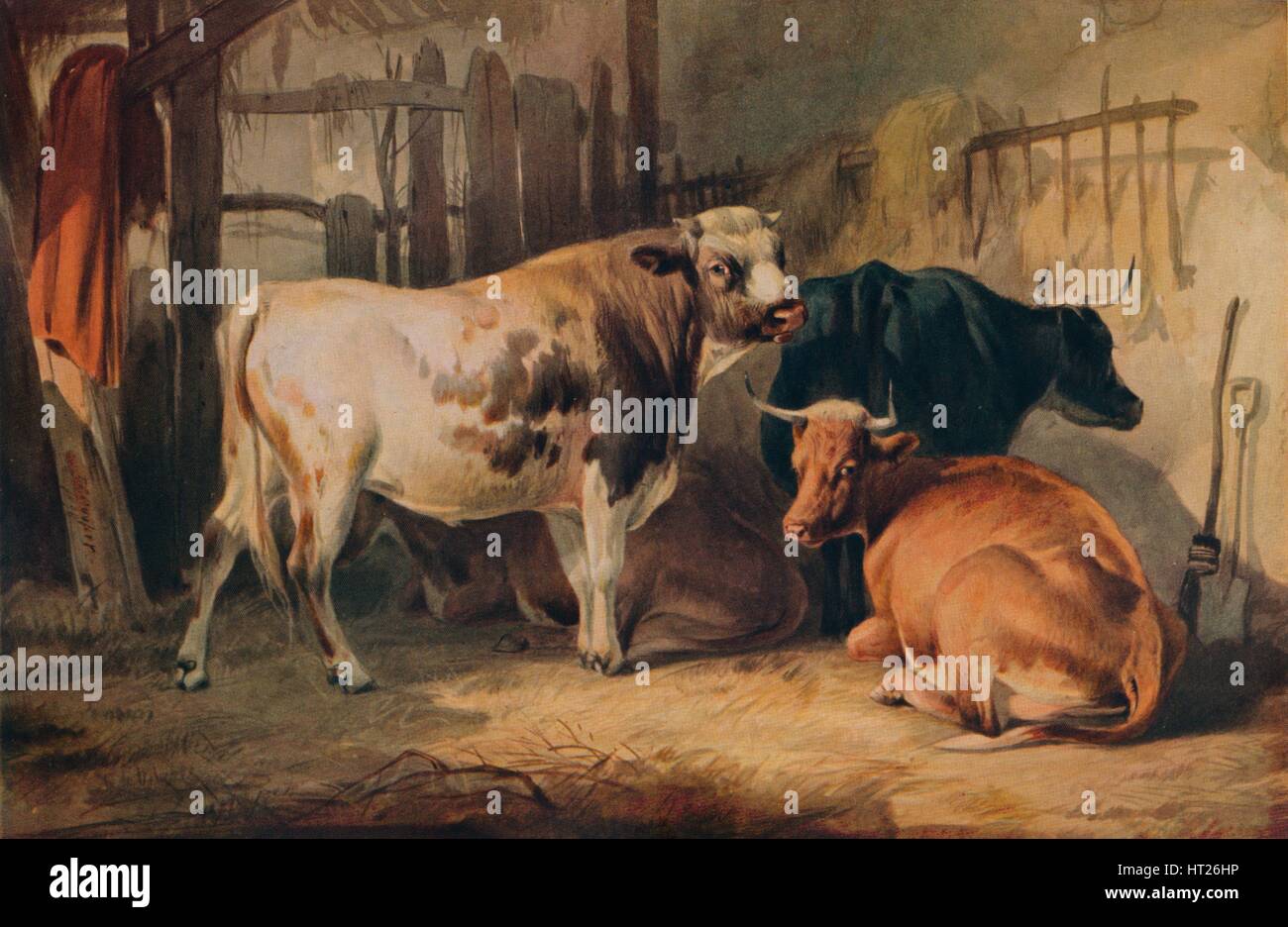 'Un taureau et trois vaches dans une étable", c1856. Artiste : Thomas Sidney Cooper. Banque D'Images