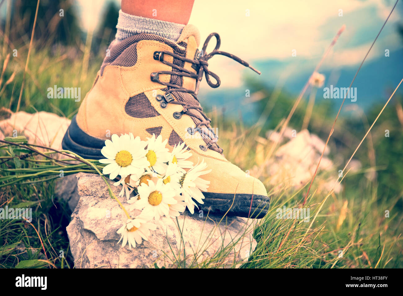 Gros plan d'une femme pied dans une chaussure de randonnée et un bouquet de marguerites sur un sentier de montagne, processus vintage Banque D'Images