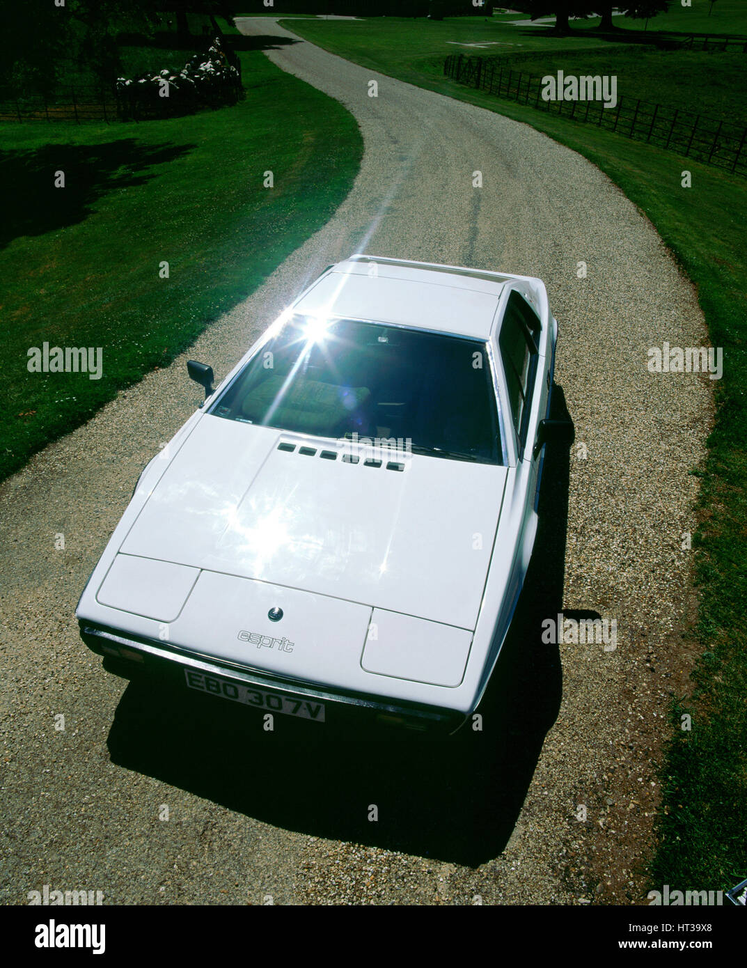 1980 Lotus Esprit S2. Artiste : Inconnu. Banque D'Images