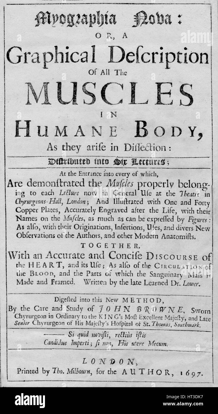 Yographia "Nova : ou une description graphique de tous les muscles dans le corps humain, comme ils sont en Disse : Artiste inconnu. Banque D'Images