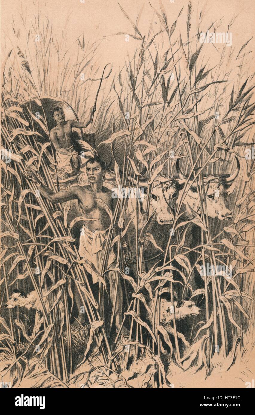 'Une route', c1880. Artiste : Inconnu. Banque D'Images