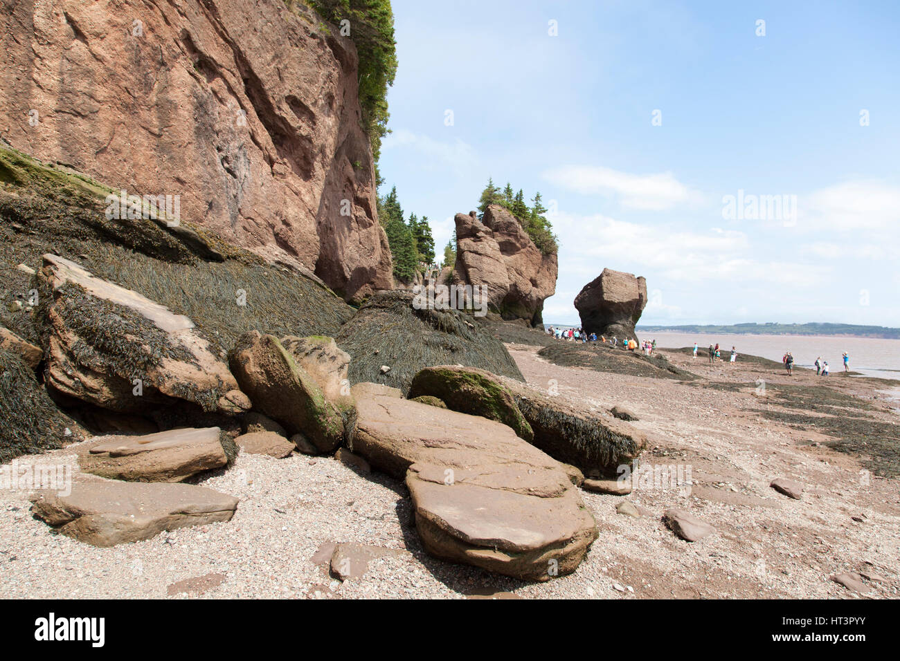 Le point de vue de l'érosion sur les rochers Hopewell Rocks Beach célèbre pour ses grandes marées extrêmes (Nouveau-Brunswick, Canada). Banque D'Images