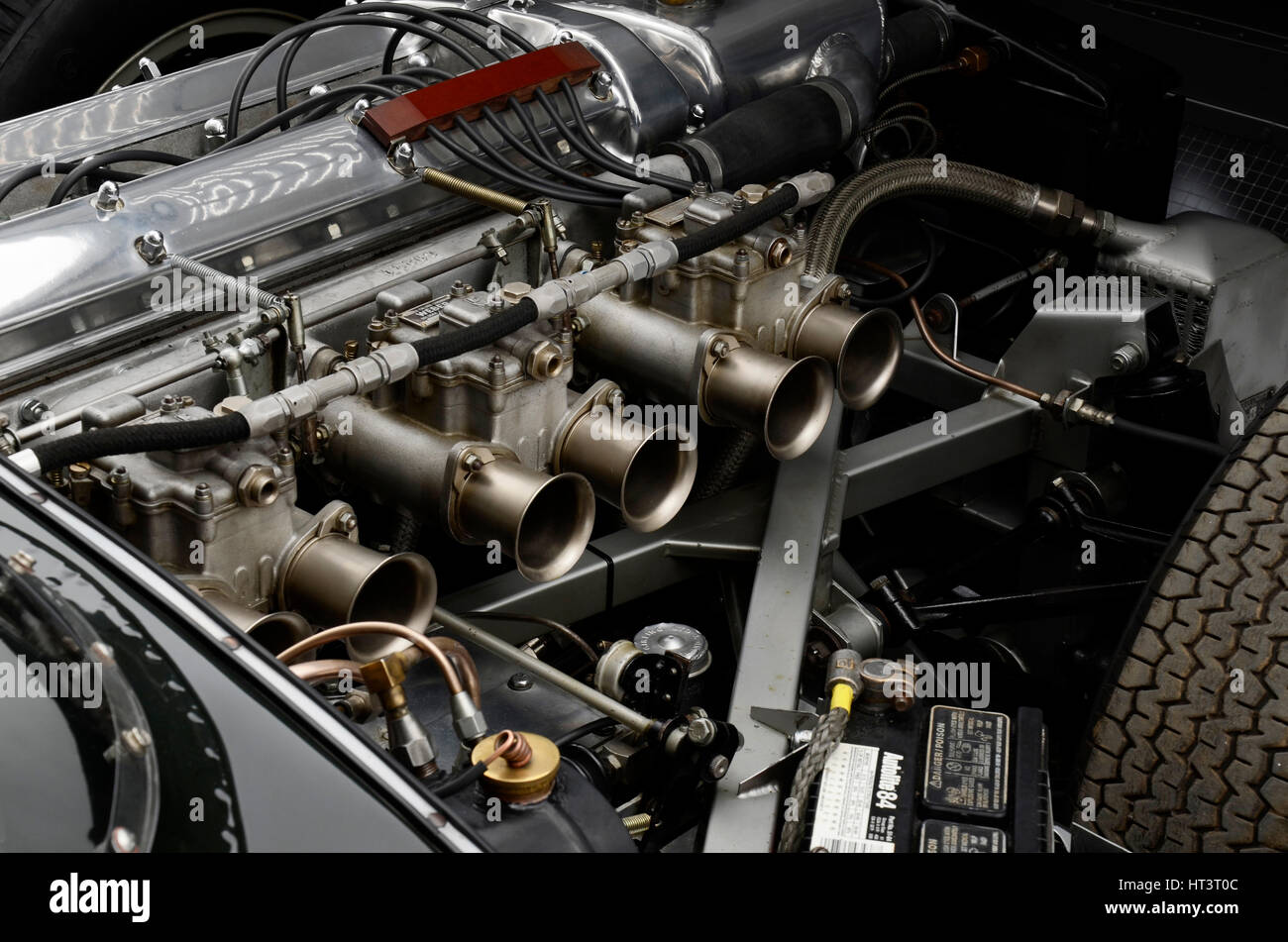 1956 Jaguar D type : Artiste inconnu. Banque D'Images