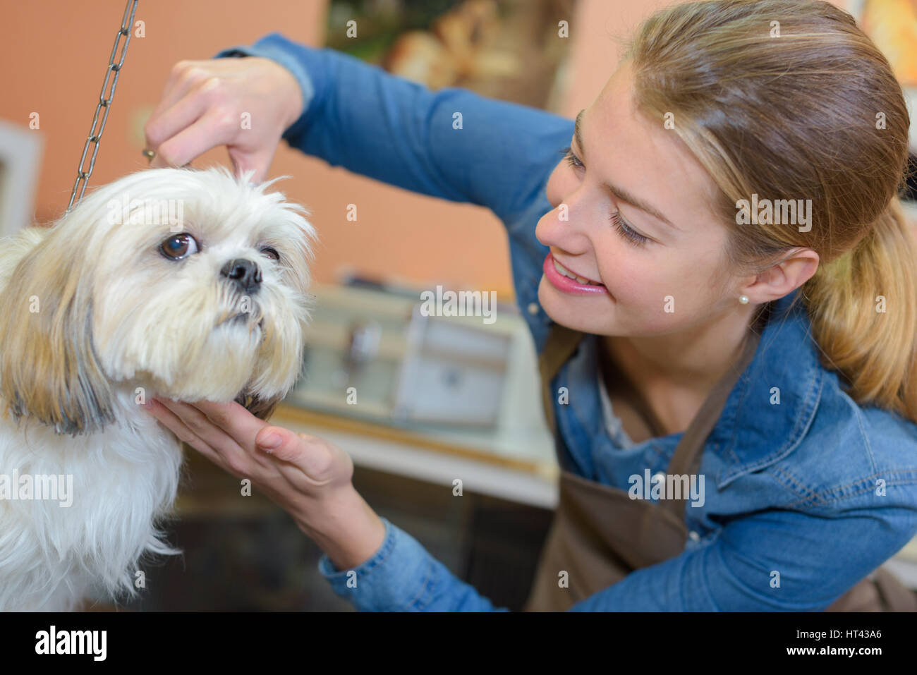 Découpage d'un manteau de l'animal Banque D'Images