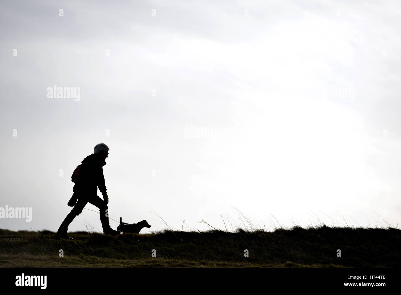 Silhouette d'une femme marche un chien sur un jour nuageux Banque D'Images