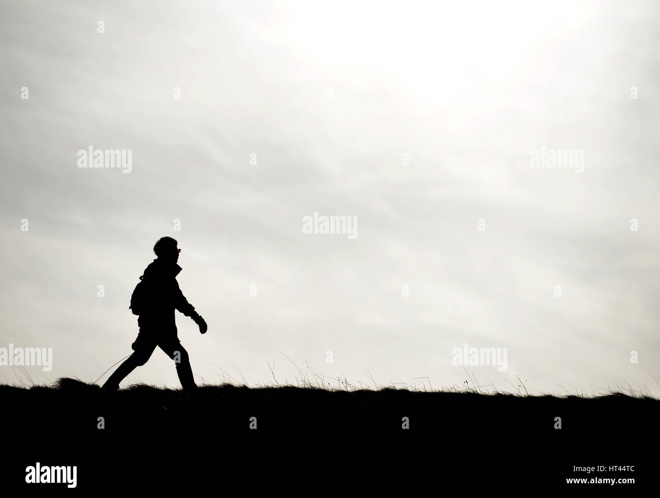 Silhouette d'une femme marche un chien sur un jour nuageux Banque D'Images