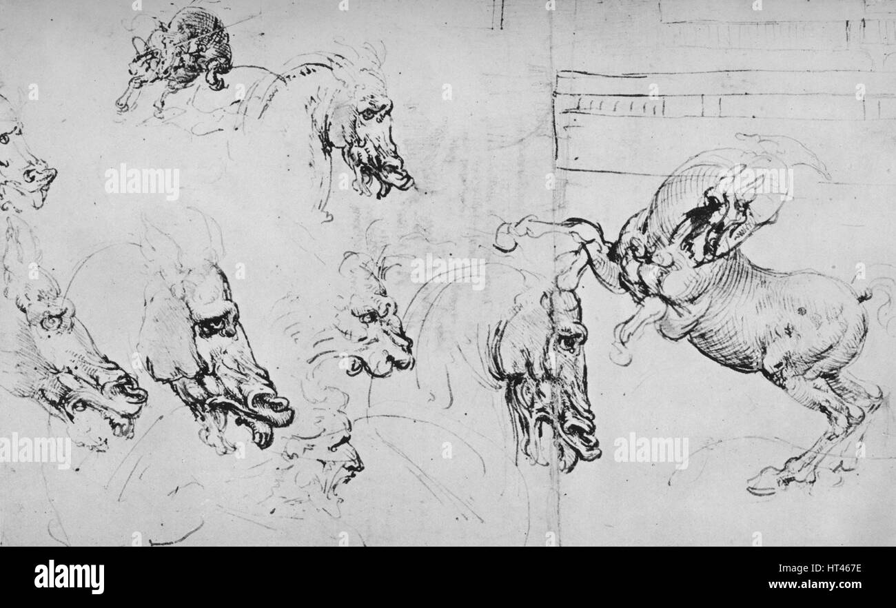 "Etudes de têtes des chevaux et d'un cheval d'élevage", c1480 (1945). Artiste : Leonardo da Vinci. Banque D'Images