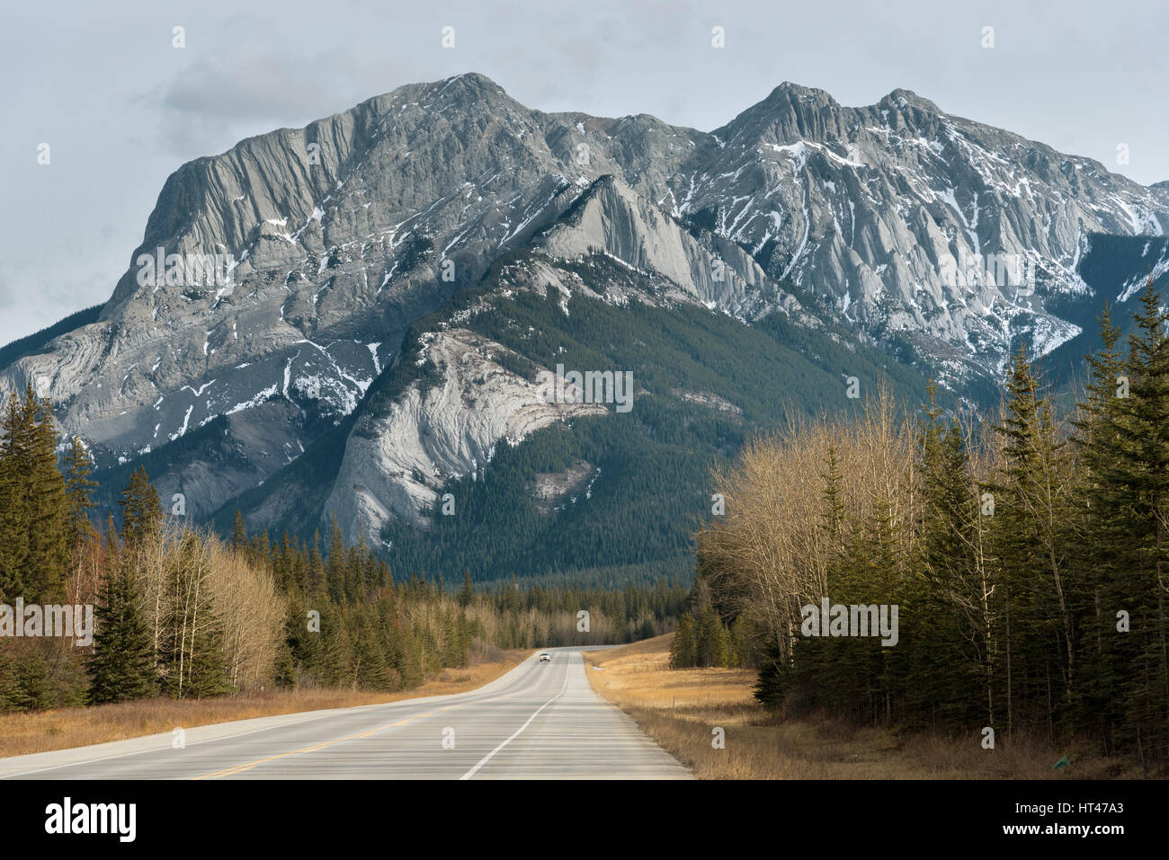 Roche Miette Banque D'Images