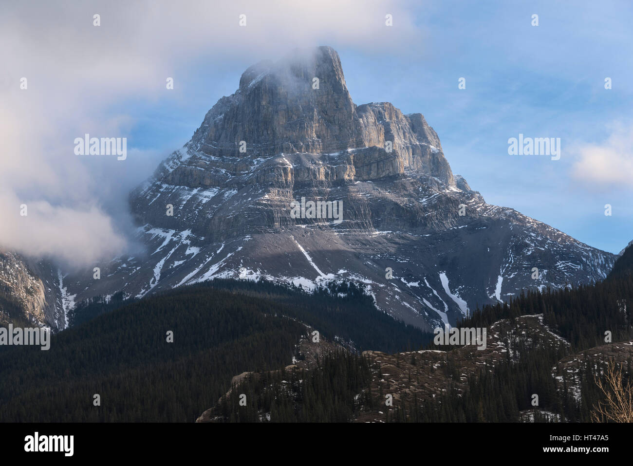 Roche Miette Banque D'Images