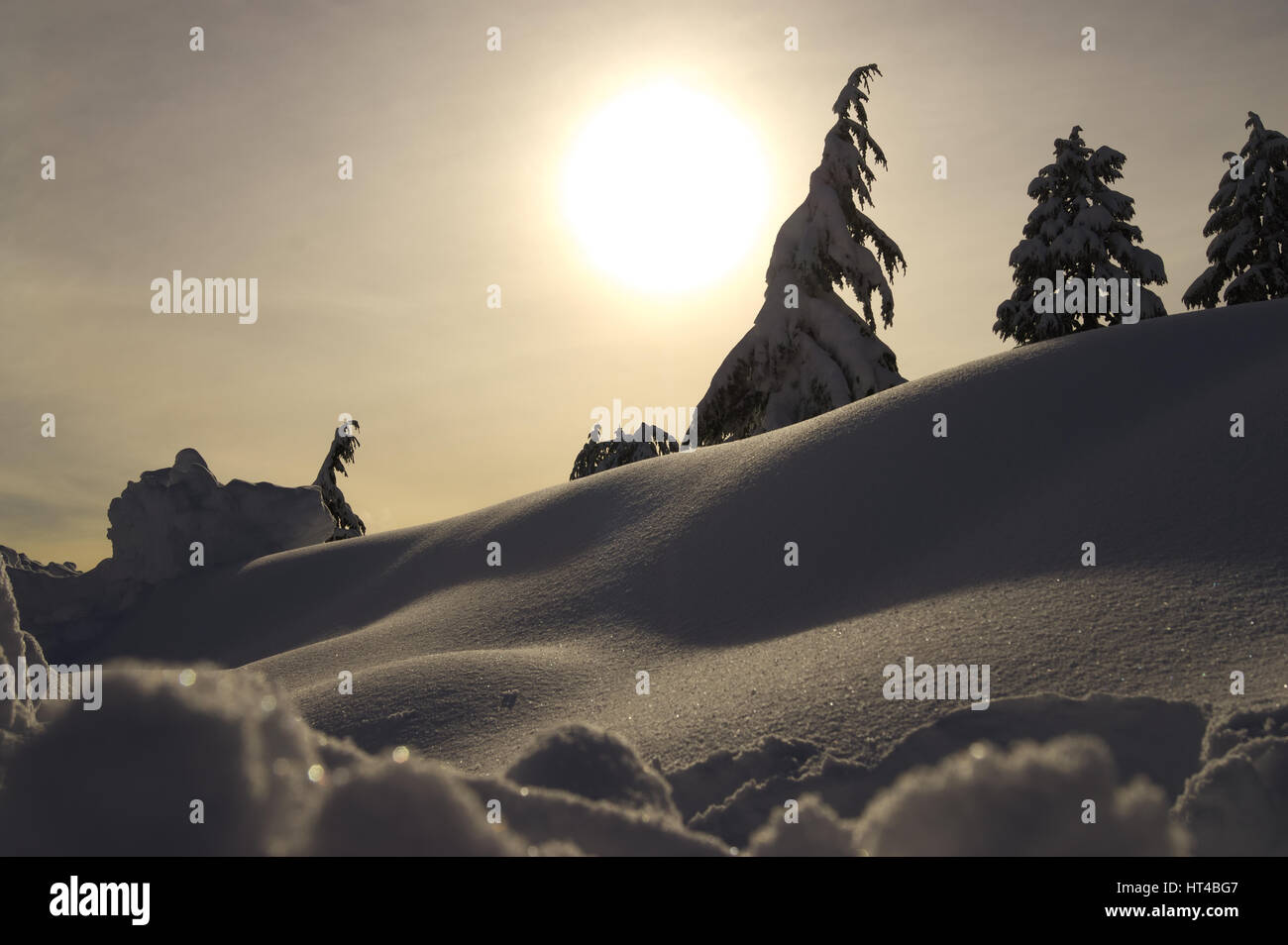 Mount Seymour, C.-B., Canada. lors d'une fraîche après-midi de printemps avec un accueil chaleureux au coucher du soleil. mt seymour. mt Seymour. Banque D'Images