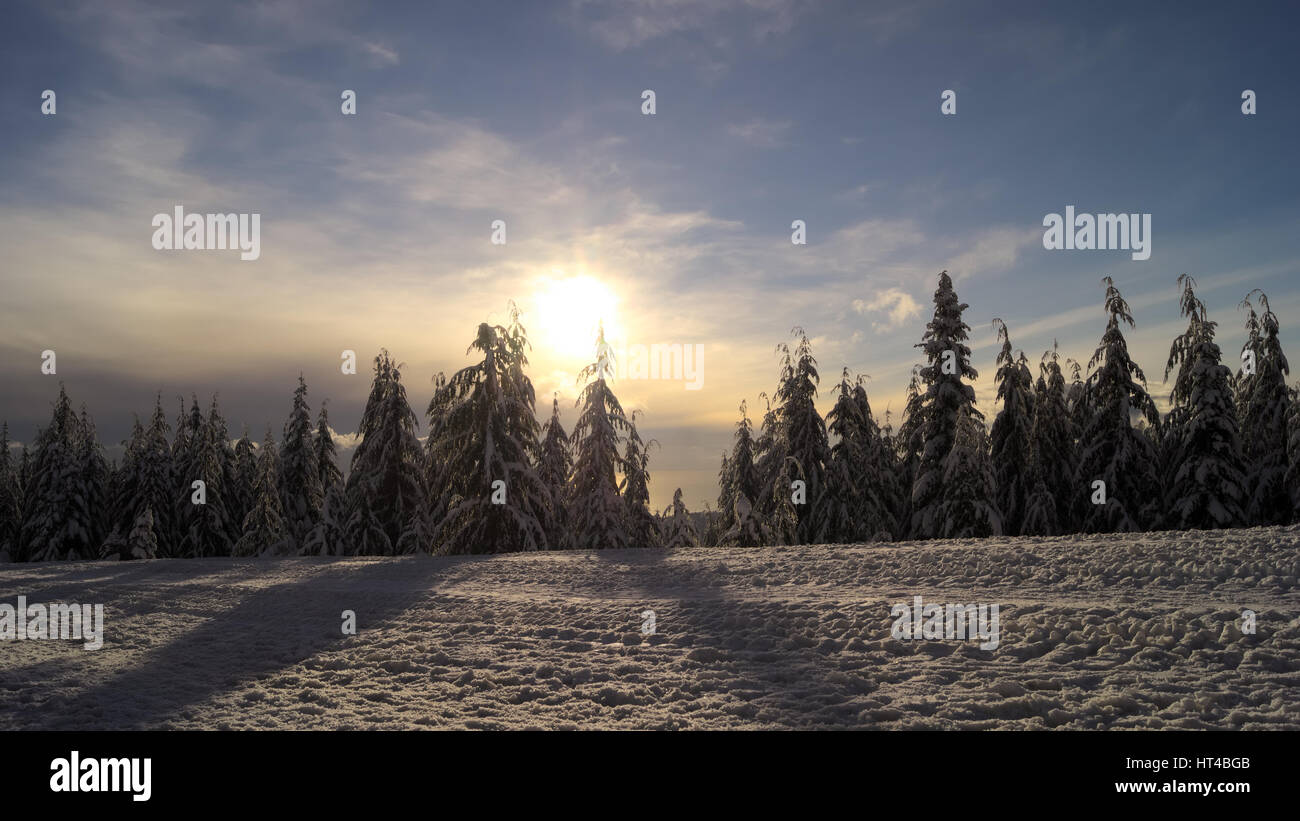 Mount Seymour, C.-B., Canada. lors d'une fraîche après-midi de printemps avec un accueil chaleureux au coucher du soleil. Banque D'Images