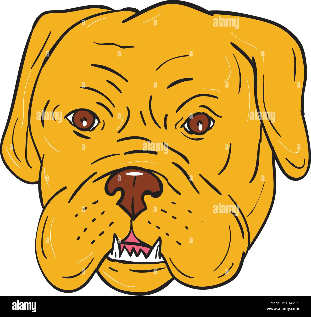 Illustration d'un Dogue de Bordeaux, Dogue de Bordeaux, Dogue de Bordeaux ou en français, un grand chien de race Mastiff français l'un des plus anciens chien français Illustration de Vecteur