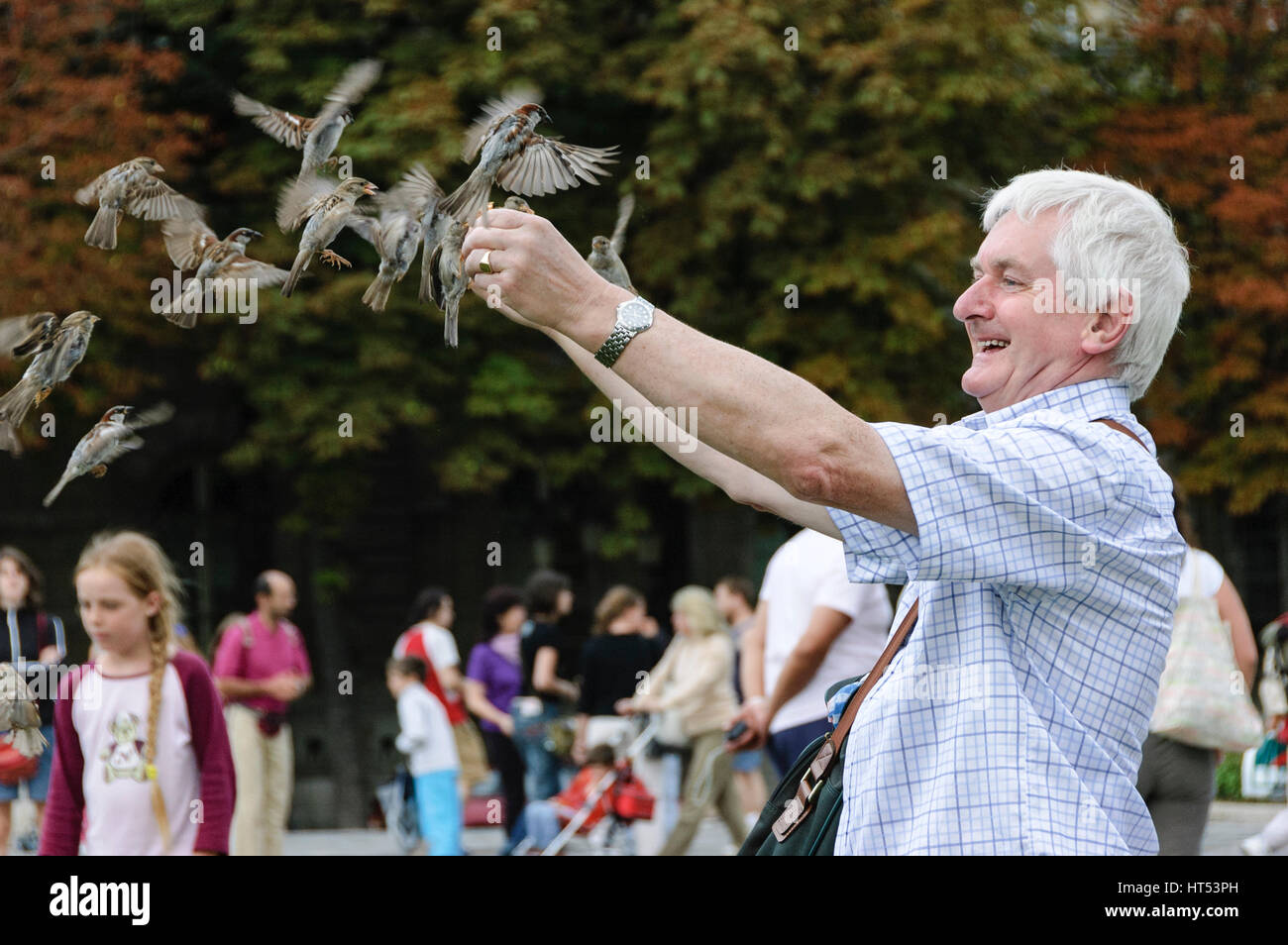 Bonheur, joie de vivre, homme d'âge moyen / homme aux cheveux gris nourrissant les oiseaux à la main, moineaux domestiques mâles / femelles (passer domesticus), à Paris, France Banque D'Images
