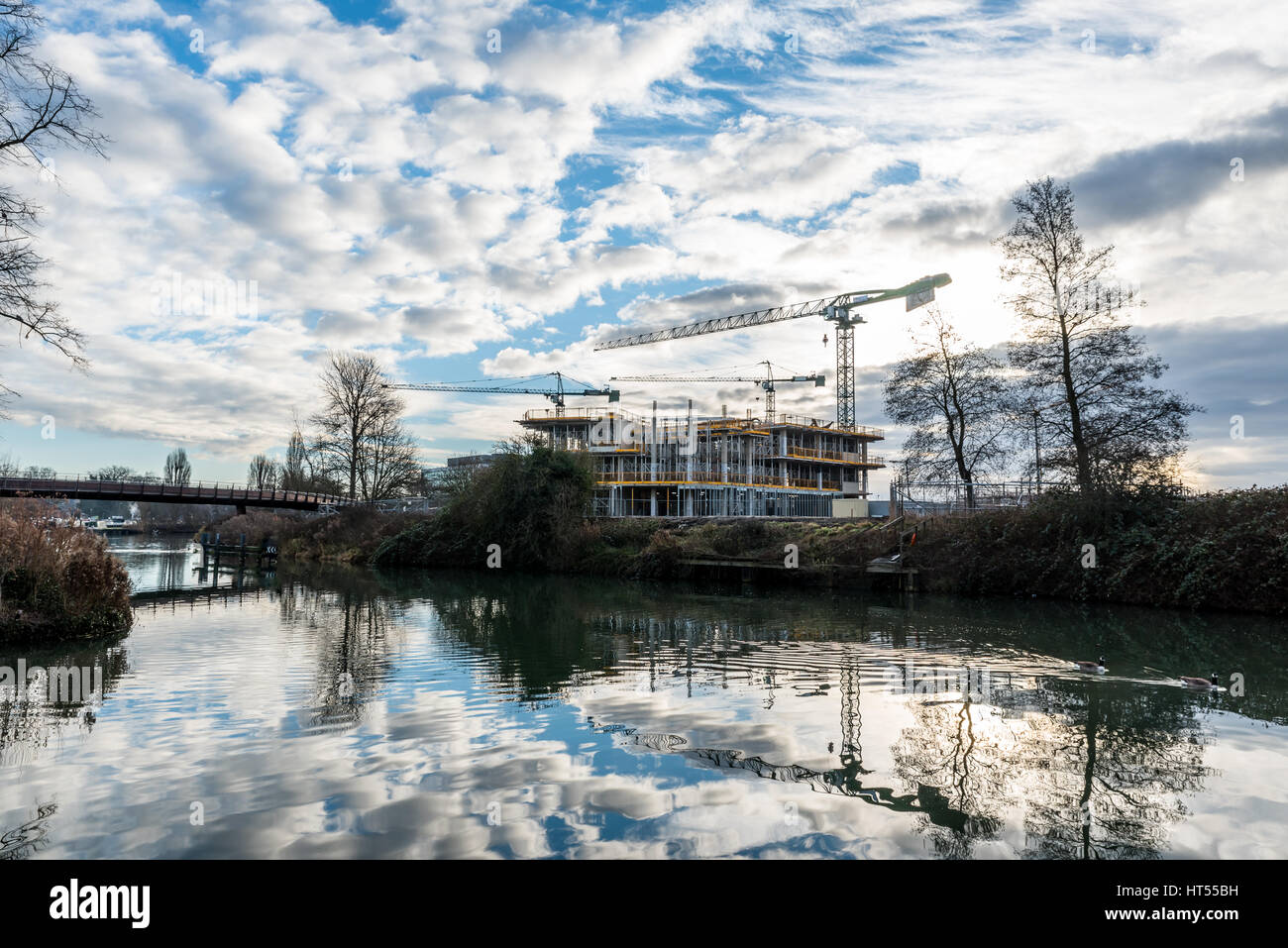 Site de construction et grues à côté de la rivière Nene, Northampton. Banque D'Images