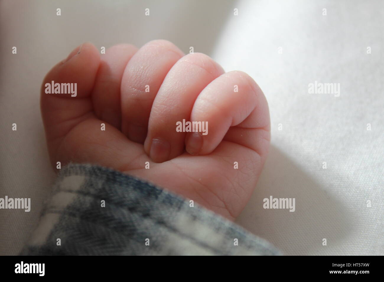 Close up de la main de bébé sur un fond blanc Banque D'Images