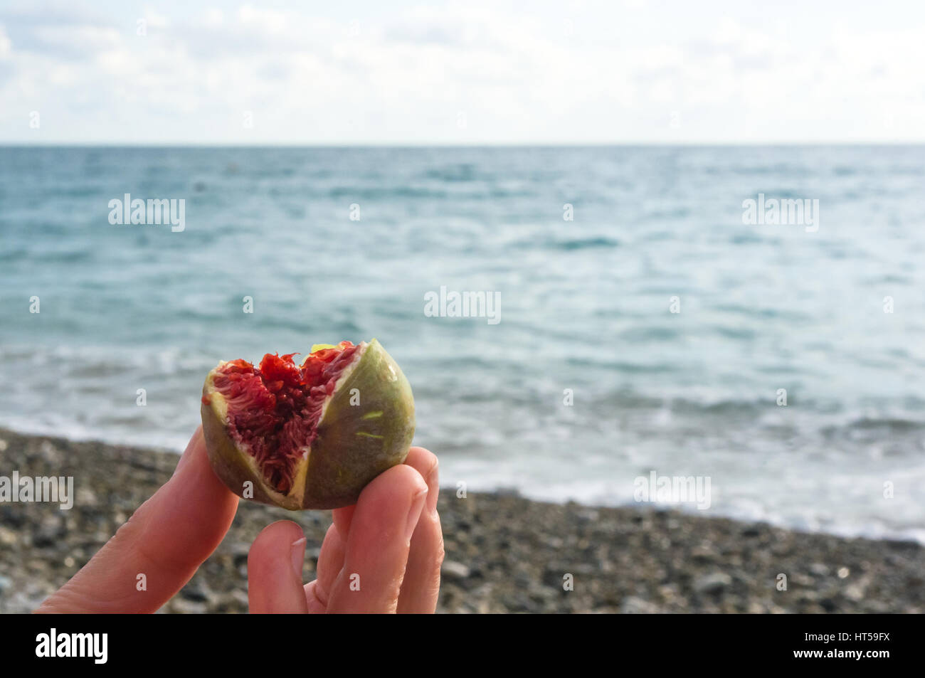 La moitié figues mûres dans la main sur le fond de paysage de mer Banque D'Images