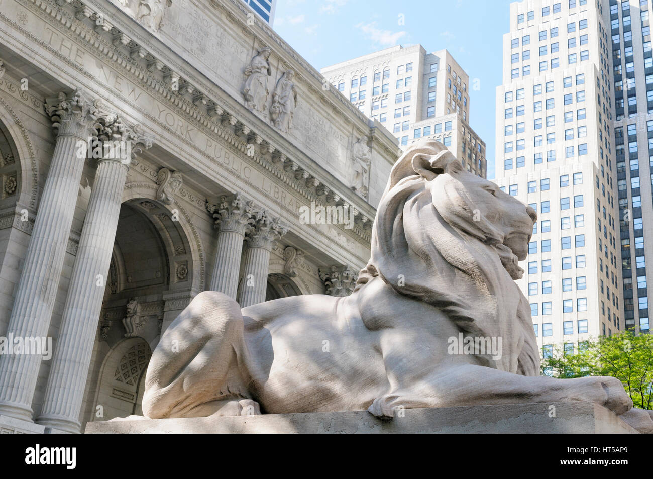 Lion de pierre à l'extérieur du bâtiment d'un Stephen Schwarzman, New York Public Library, NEW YORK, USA Banque D'Images