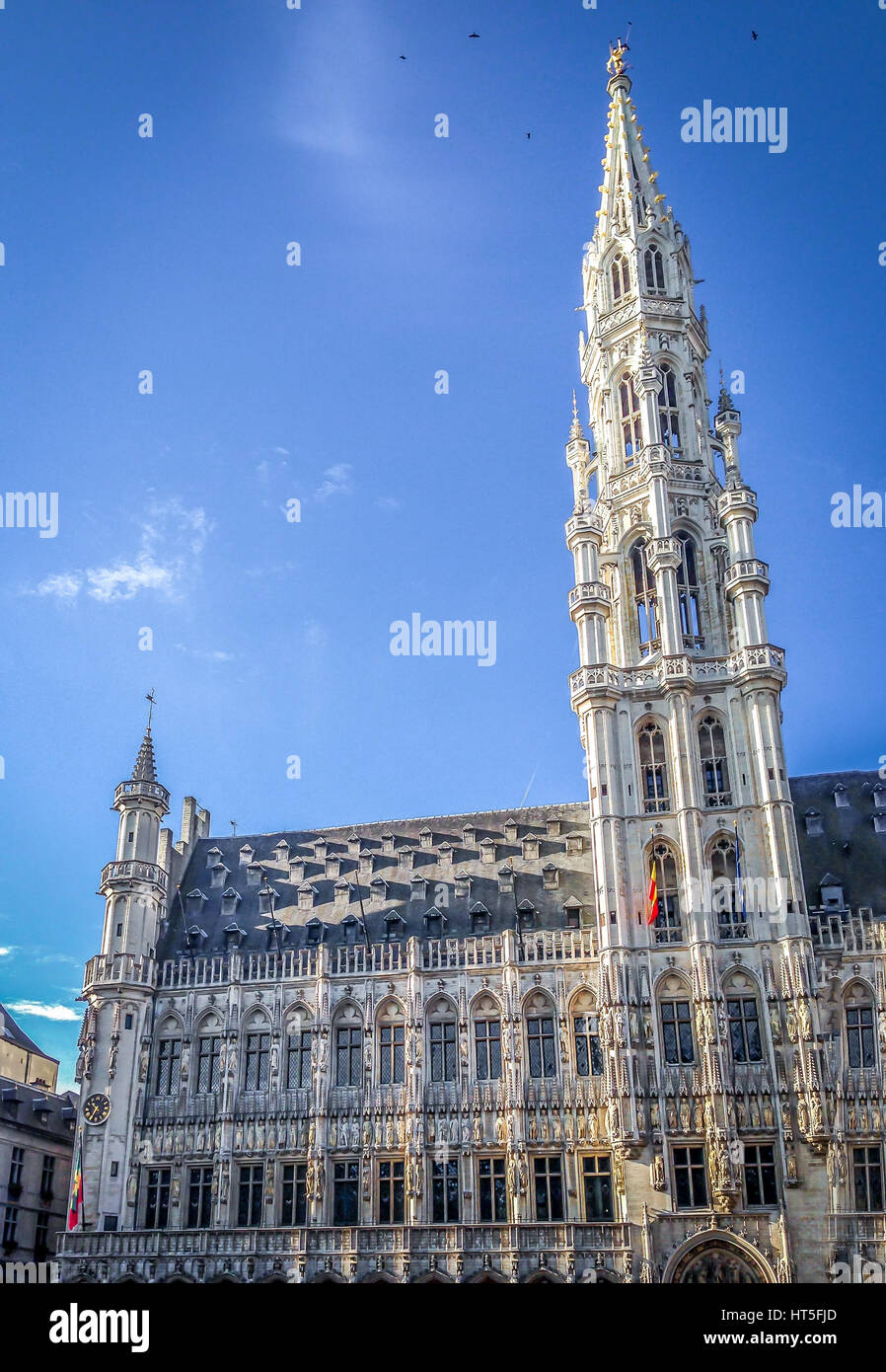 L'hôtel de ville de Bruxelles - Grand Place, Bruxelles, Belgique Banque D'Images