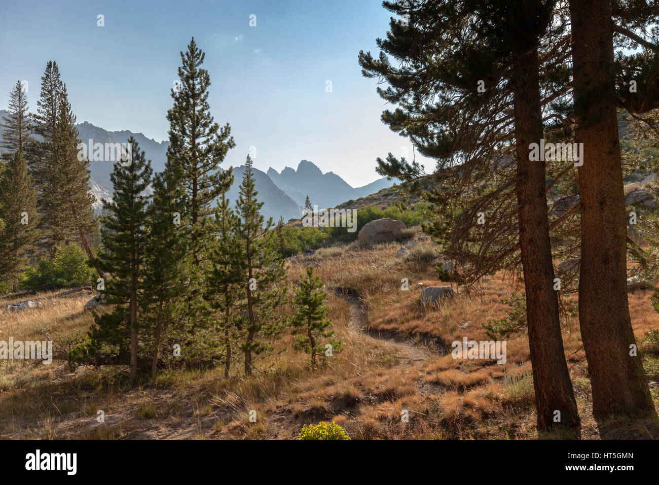 Un sentier de montagne haute montagne sinueuse menant à la montagne de granit en arrière-plan sur le Pacific Crest Trail. Banque D'Images