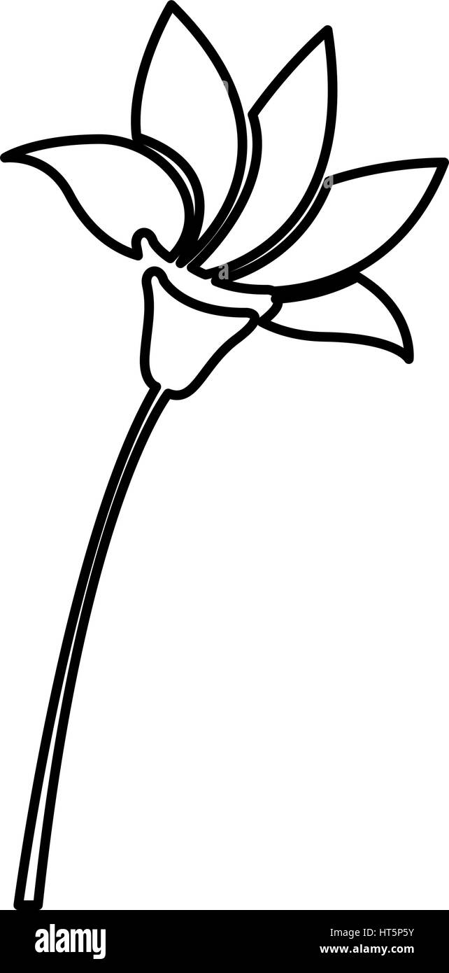 Figure fleur avec pétales a souligné icon Illustration de Vecteur