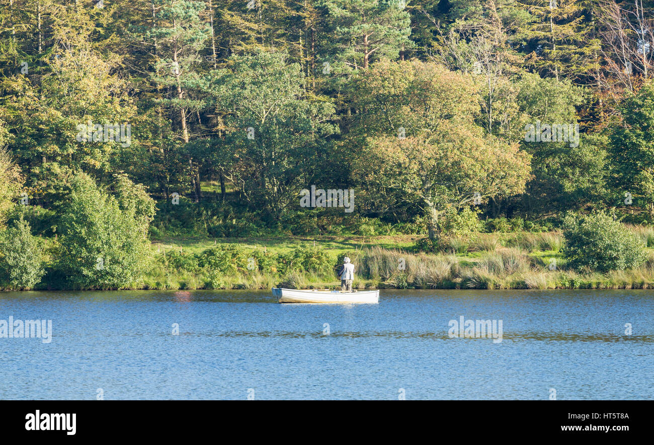 Man fly fishing de voile sur Lockwood Beck, North York Moors National Park, North Yorkshire, Angleterre, Royaume-Uni. Banque D'Images