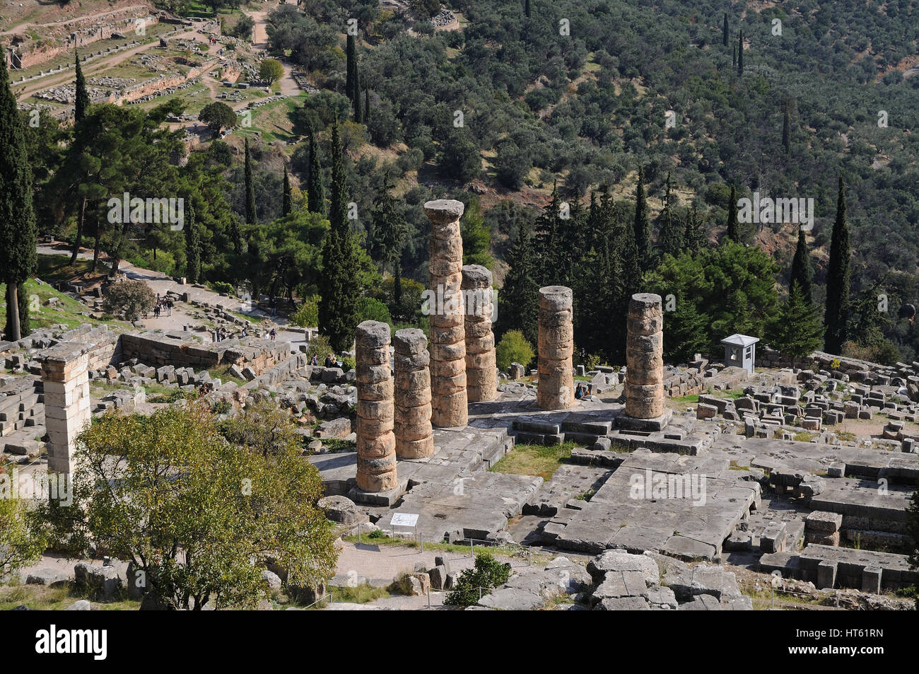 Colonnes du temple d'Apollon à Delphes, Grèce Banque D'Images