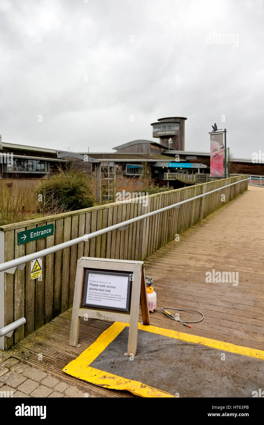 Slimbridge Wetland Centre, Loire, France. Banque D'Images