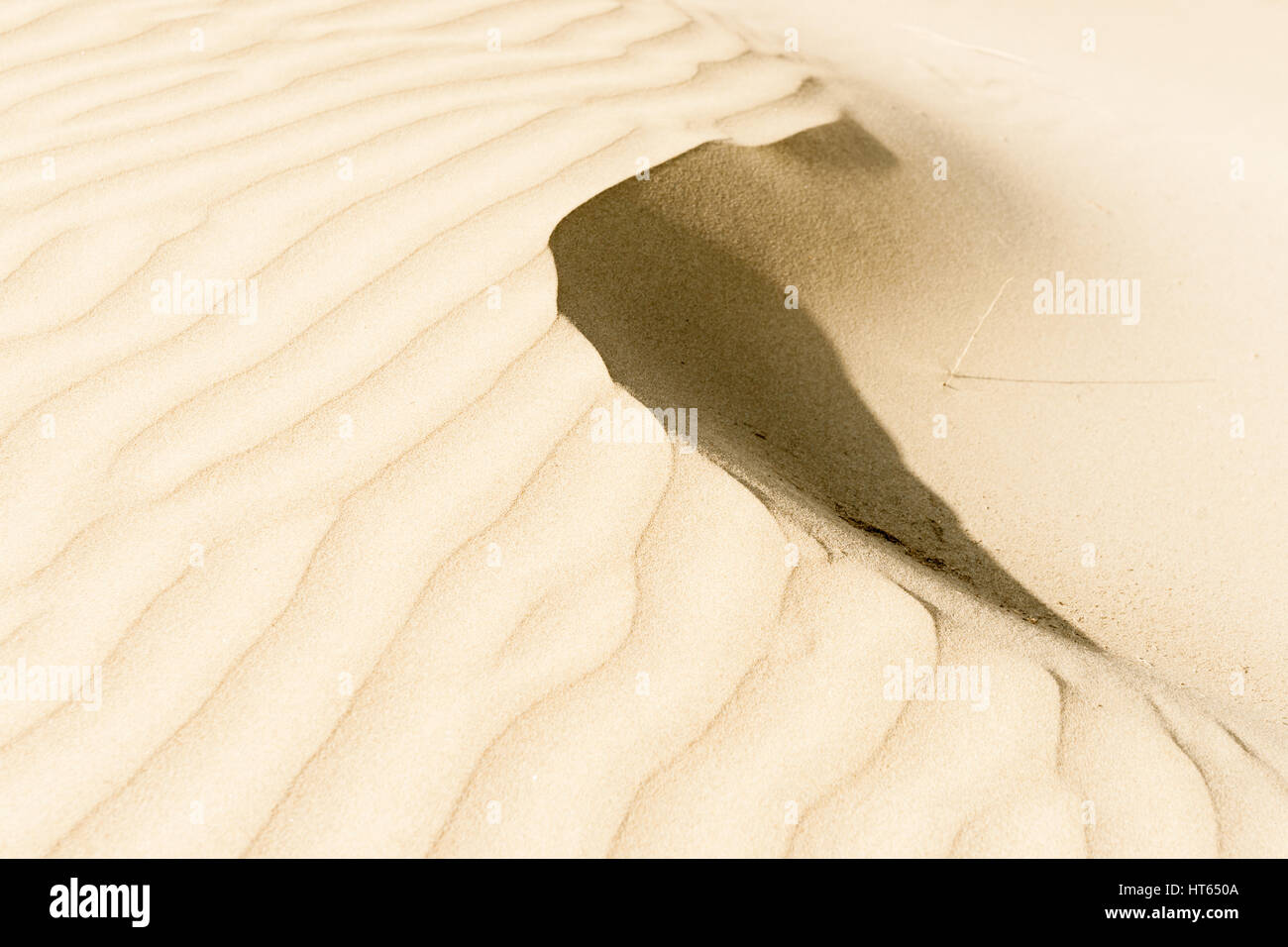 Quatre-vingt-dix modèles sable balayées par Mile Beach, Northland NZ Banque D'Images