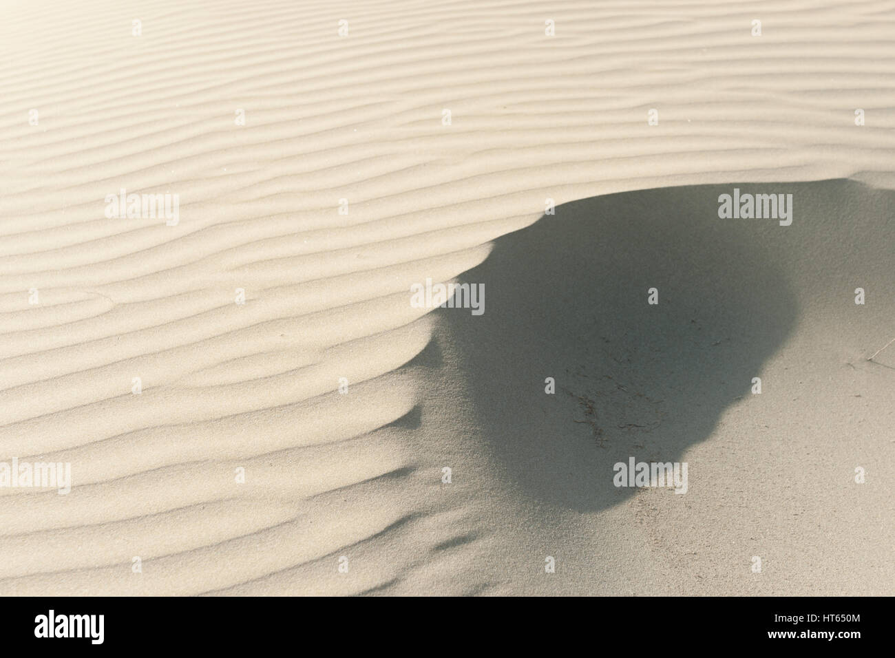 Quatre-vingt-dix modèles sable balayées par Mile Beach, Northland NZ Banque D'Images