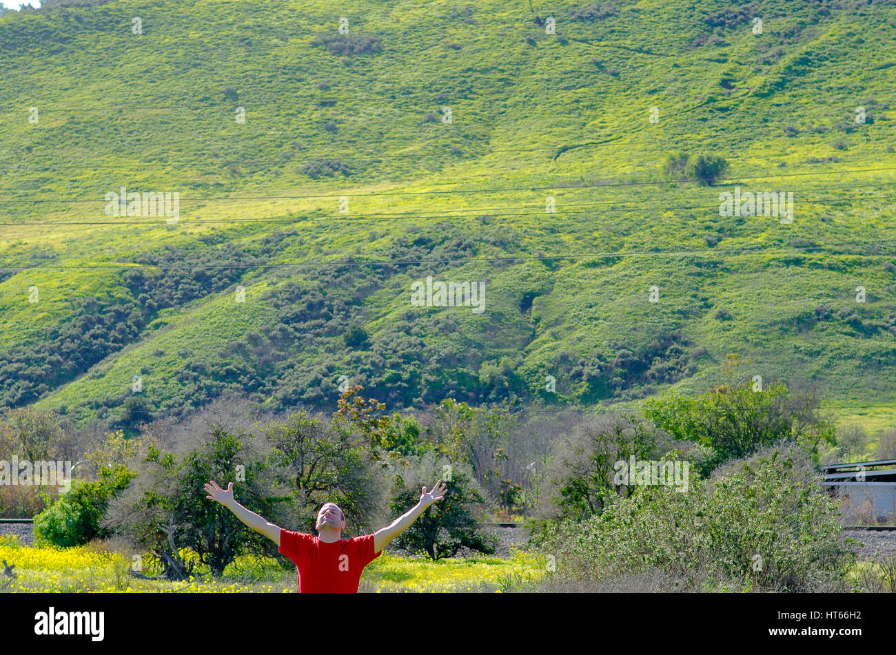 Man with arms wide open dans un champ ouvert qui englobe la nature. Banque D'Images