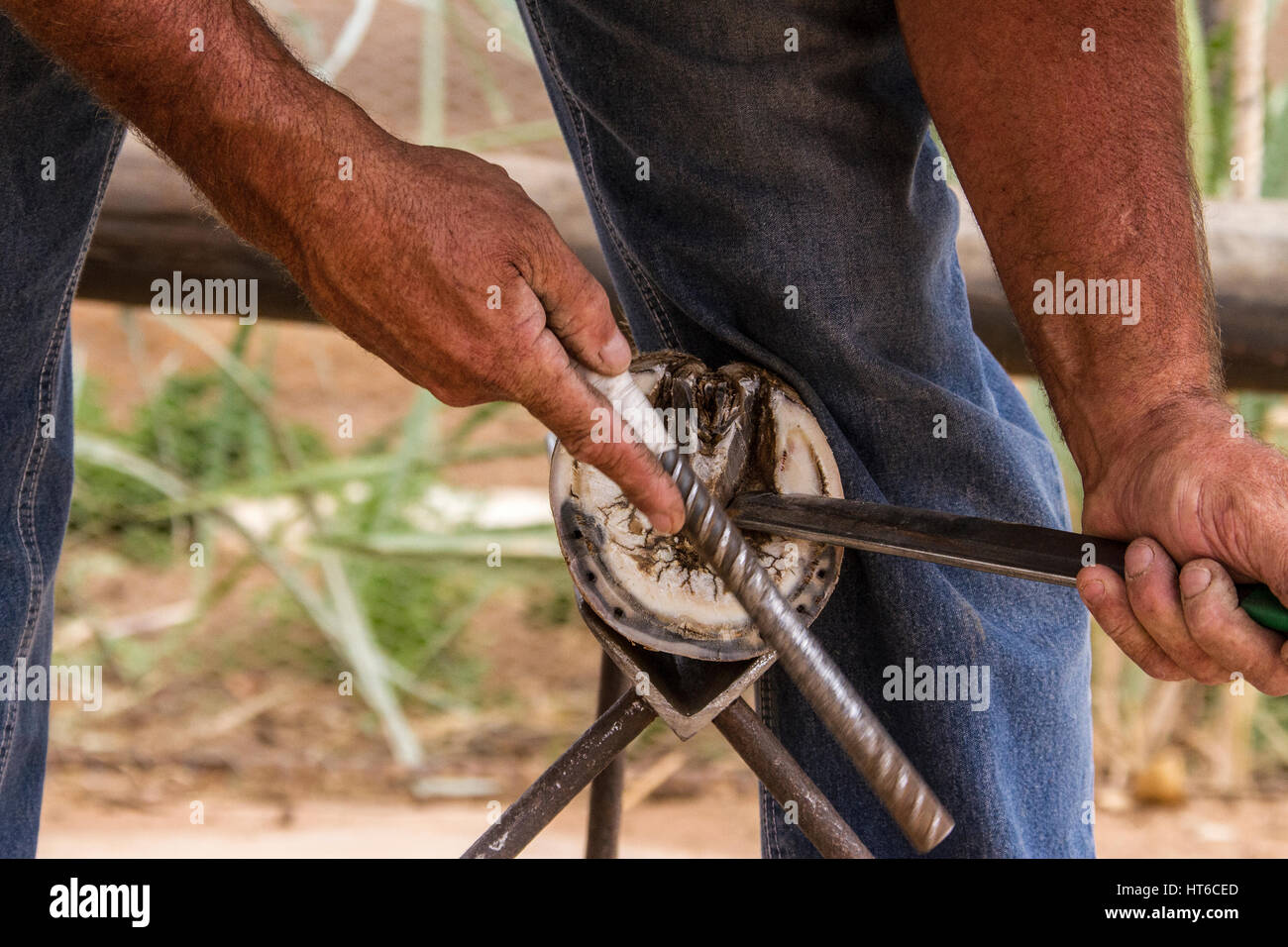 Hache Forestier Pinces De Maréchal-ferrant, Outil De Coupe De Sabot De Maréchal Effaroucheur Oiseau