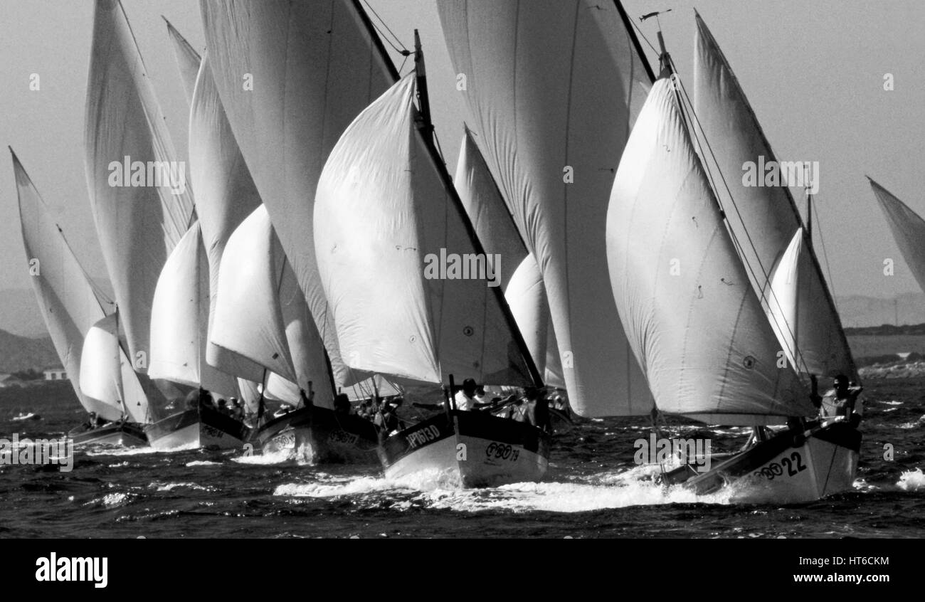 Régate de voile latine en Sardaigne Banque D'Images